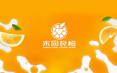 某良橙——遂宁LOGO设计