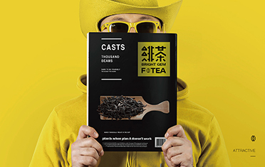 遂宁绯茶品牌设计